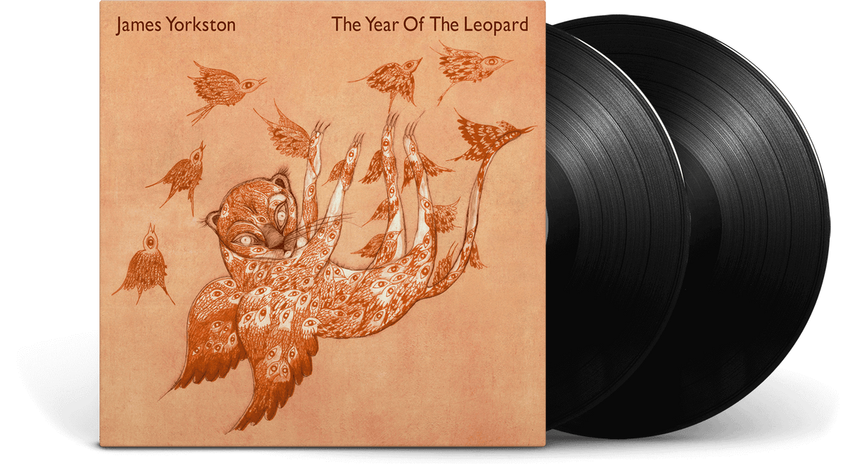 Vinyl - James Yorkston : The Year Of The Leopard - The Record Hub