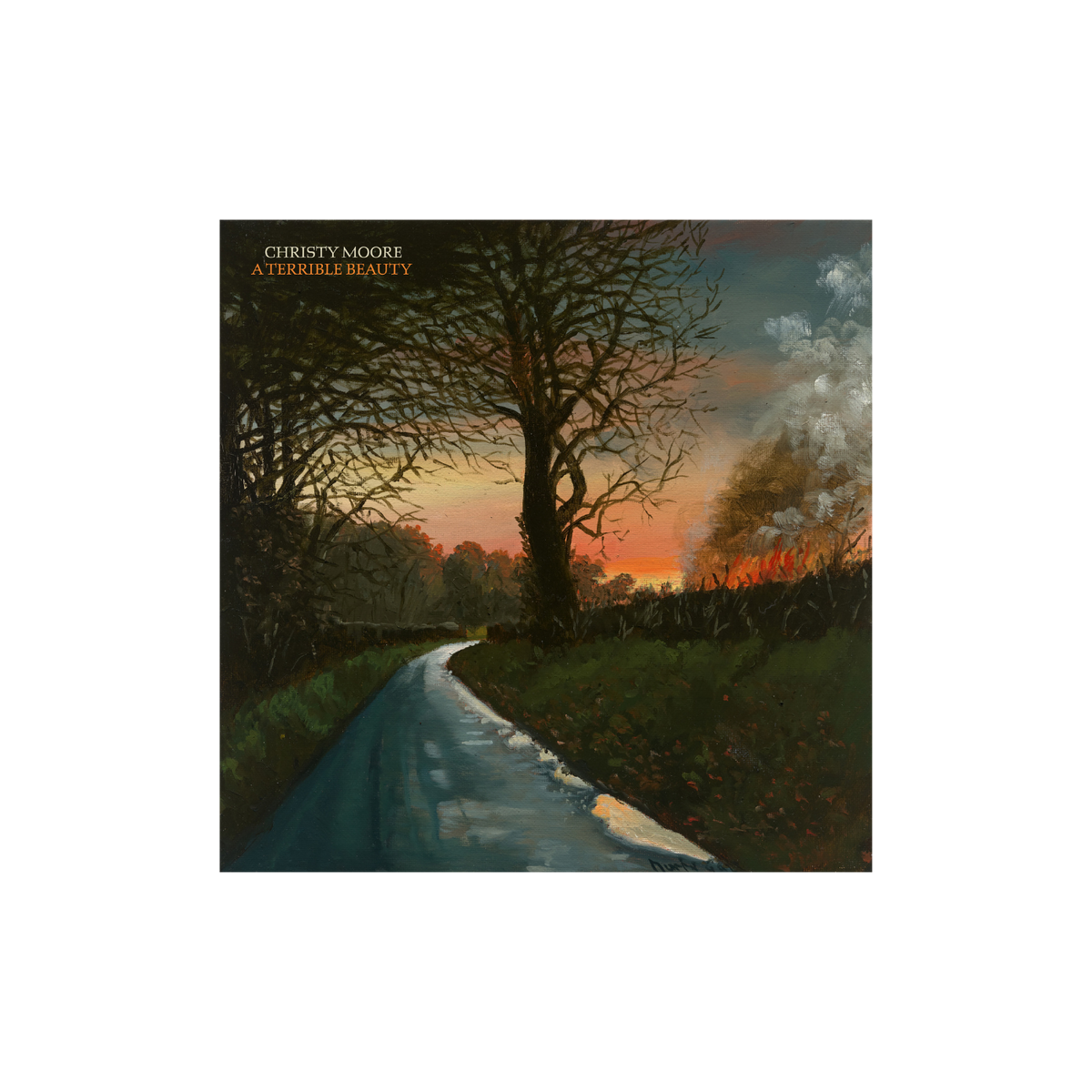 Vinyl - Christy Moore : A Terrible Beauty (CD) - The Record Hub