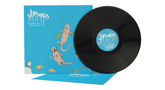 J Mascis : What Do We Do Now