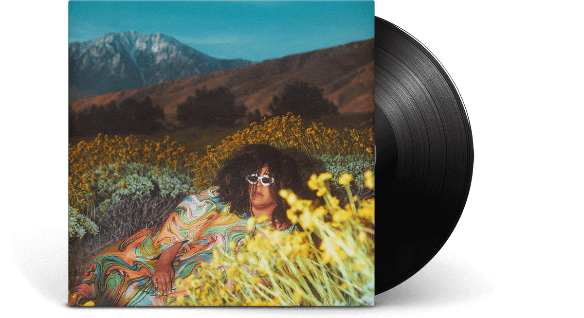 Vinyl - Brittany Howard : What Now - The Record Hub