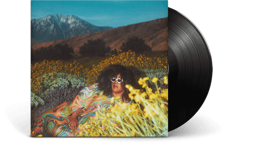 Brittany Howard : What Now