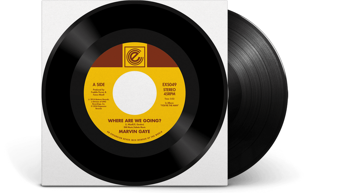 Vinyl - Marvin Gaye : Where Are We Going? / Woman Of The World - The Record Hub