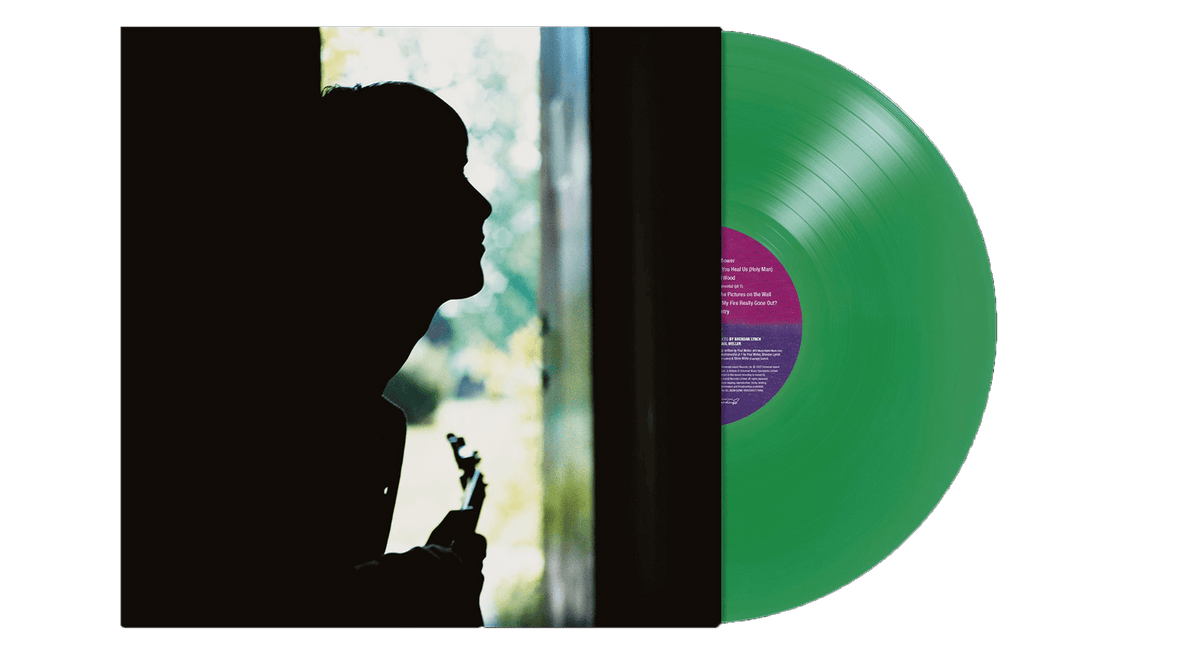 Vinyl - Paul Weller : Wild Wood (140g Coloured Vinyl) - The Record Hub