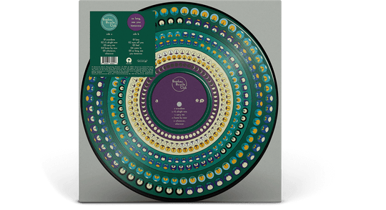 Bombay Bicycle Club : So Long See You Tomorrow (Zoetrope Vinyl)