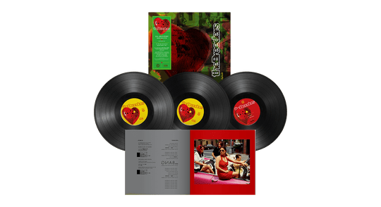 The Breeders : Last Splash (2LP + 12" 25th Anniversary Edition)