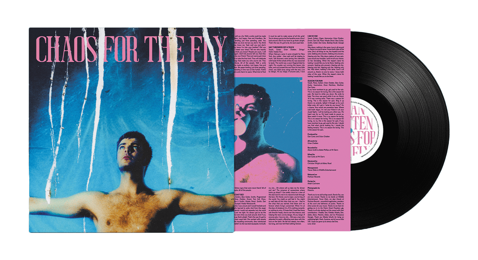 Vinyl - Grian Chatten : Chaos For The Fly - The Record Hub