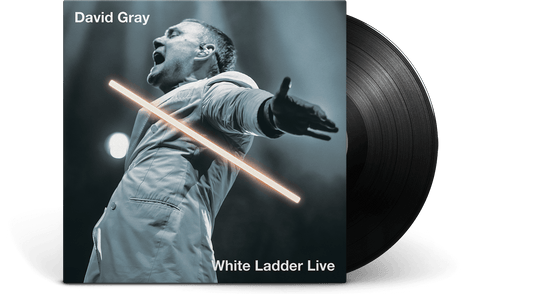 David Gray : White Ladder Live