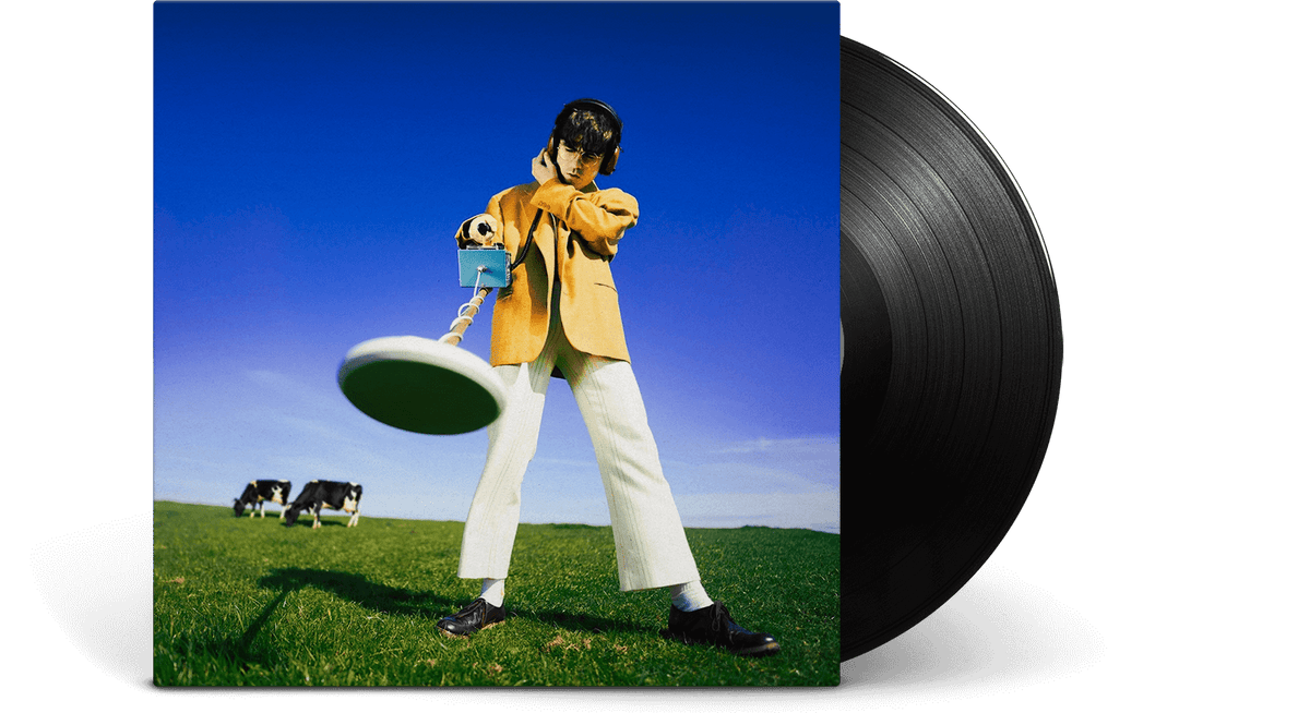 Vinyl - Declan McKenna : What Happened to the Beach? - The Record Hub