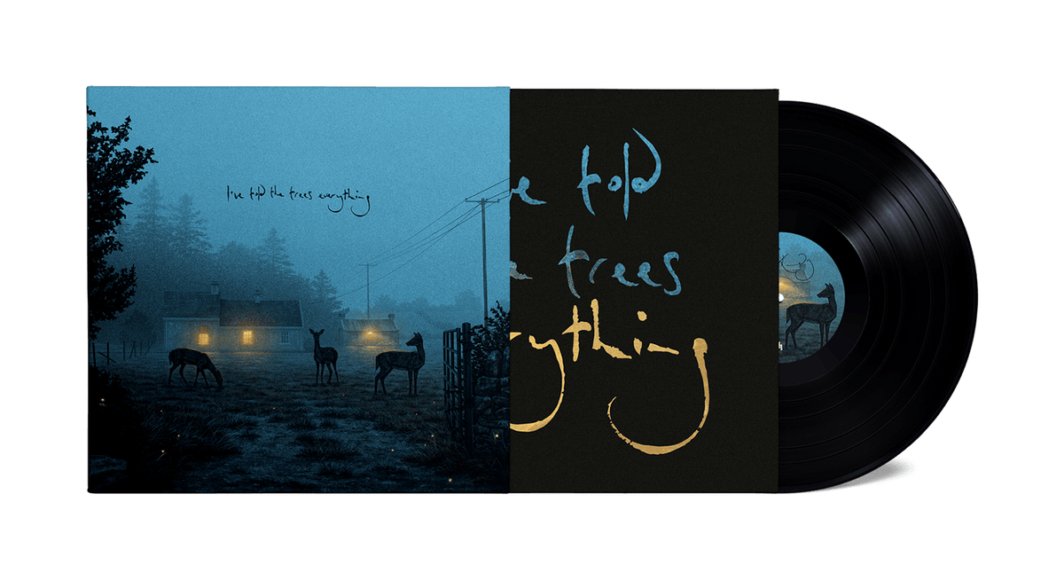 Vinyl - Dermot Kennedy : I’ve told the trees everything (140g Black Vinyl) - The Record Hub