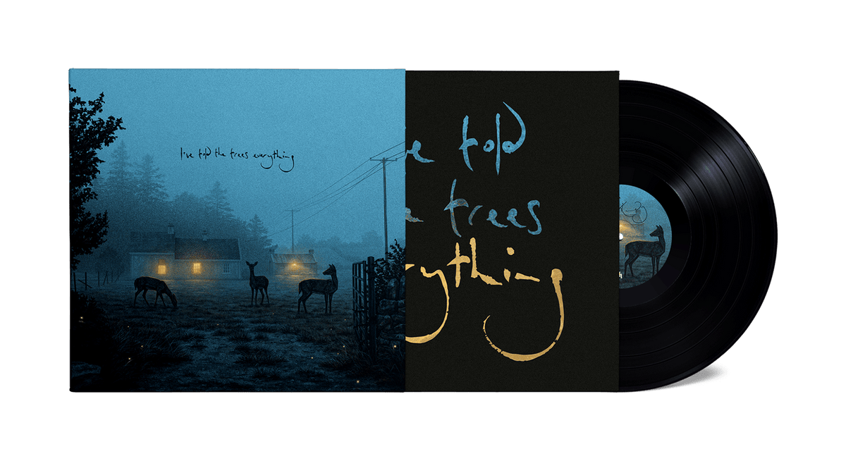Vinyl - [Pre-Order 14/06] Dermot Kennedy : I’ve told the trees everything (140g Black Vinyl) - The Record Hub