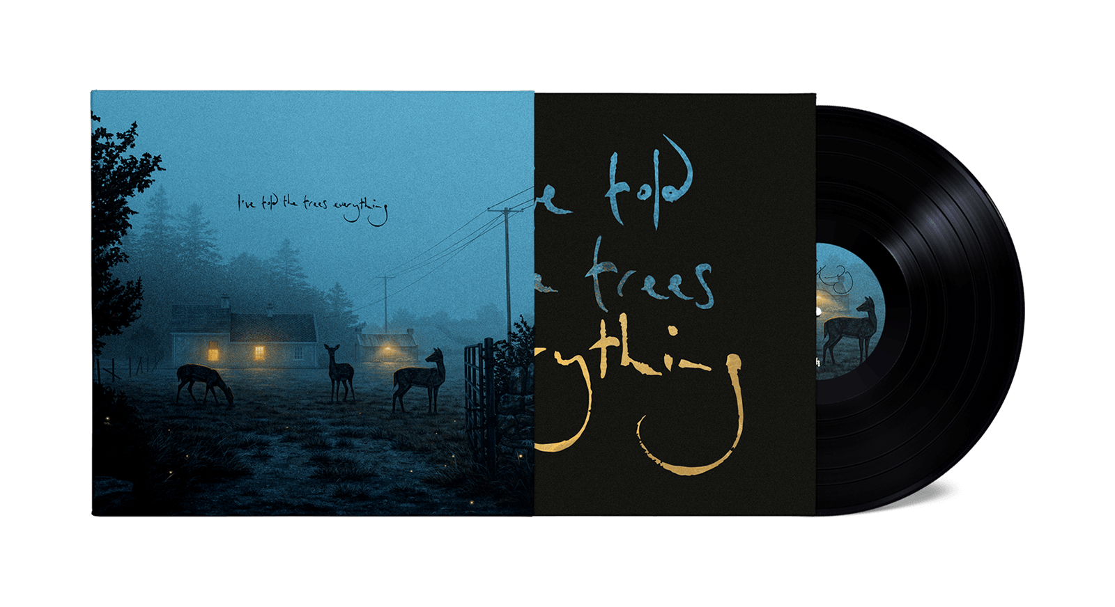 Vinyl - Dermot Kennedy : I’ve told the trees everything (140g Black Vinyl) - The Record Hub