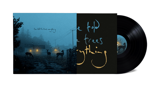 Dermot Kennedy : I’ve told the trees everything (140g Black Vinyl)