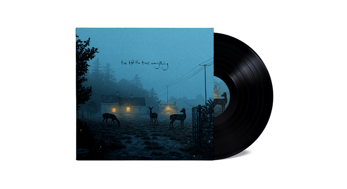 Vinyl - Dermot Kennedy : I’ve told the trees everything (140g Black Vinyl) - The Record Hub