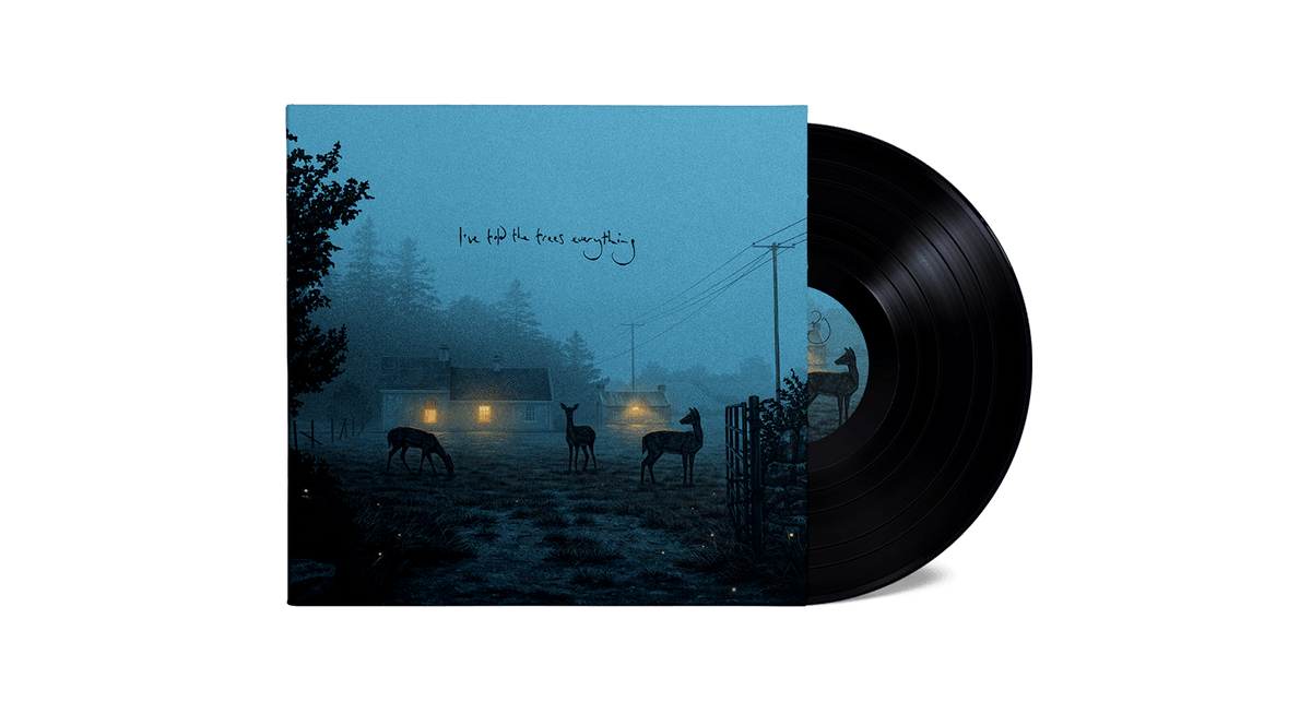 Vinyl - [Pre-Order 14/06] Dermot Kennedy : I’ve told the trees everything (140g Black Vinyl) - The Record Hub