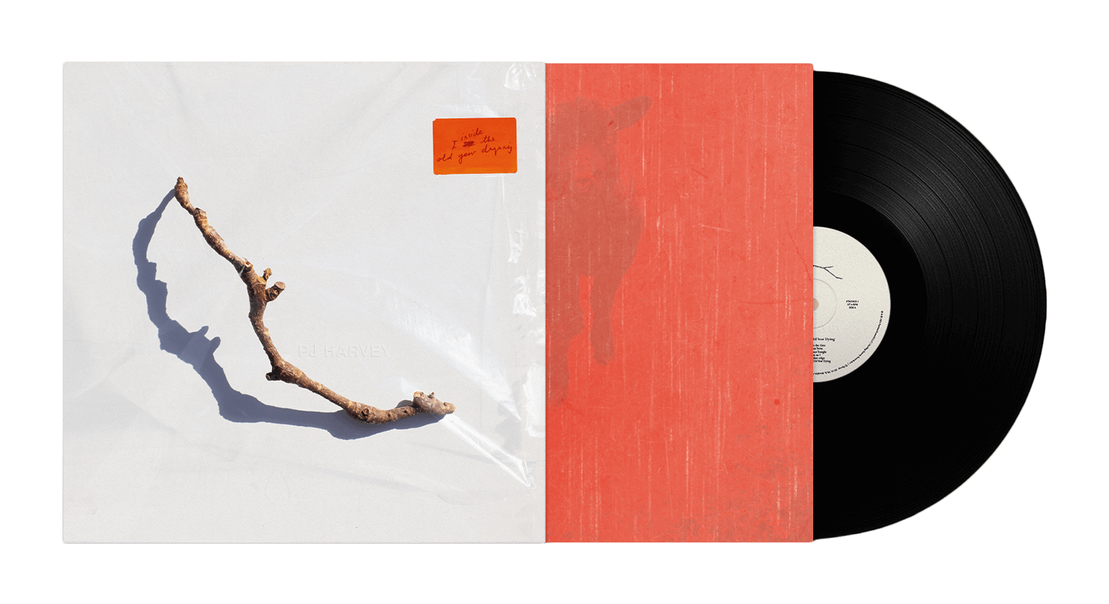 Vinyl - PJ Harvey : I Inside the Old Year Dying - The Record Hub