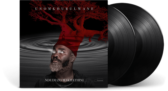 Nduduzo Makhathini : uNomkhubulwane