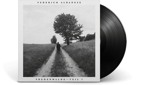 Federico Albanese : Before & Now Seems Infinite