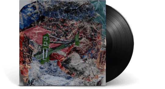 Animal Collective : Bridge to Quiet