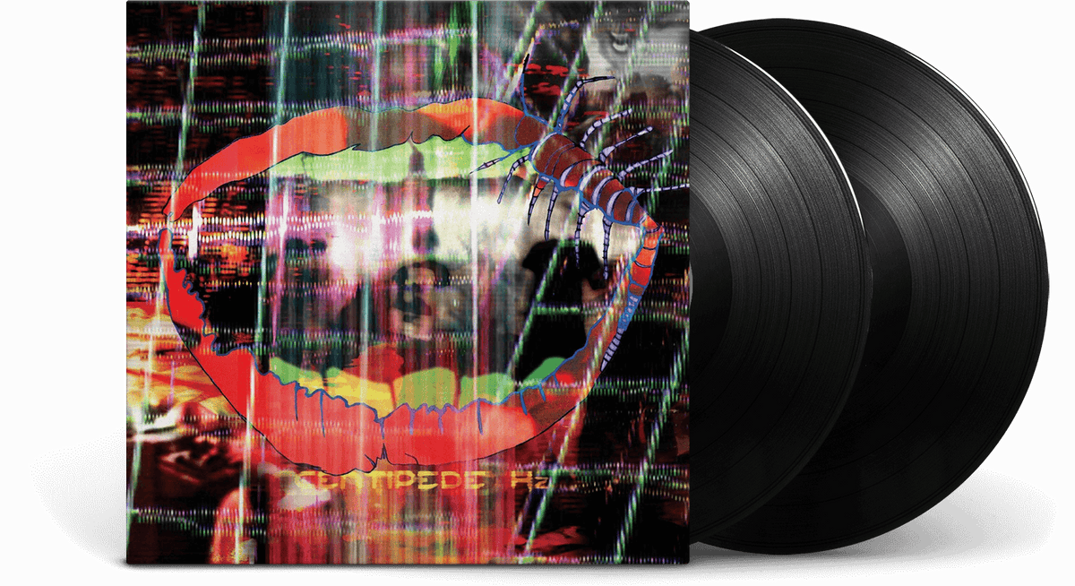 Vinyl - ANIMAL COLLECTIVE : CENTIPEDE HZ - The Record Hub