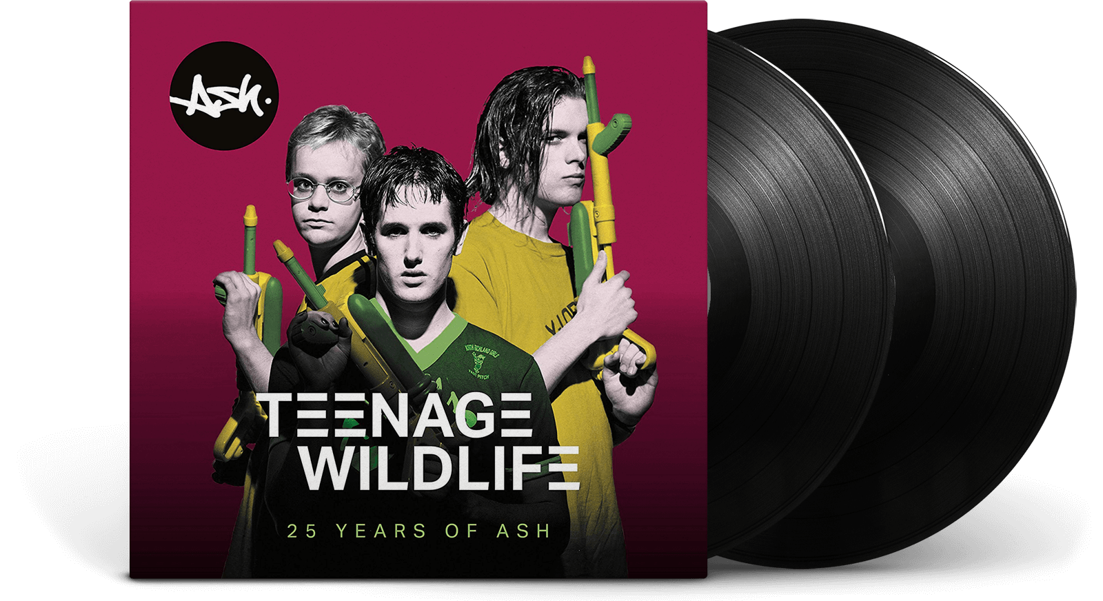 Vinyl - Ash : Teenage Wildlife - 25 Years of Ash - The Record Hub