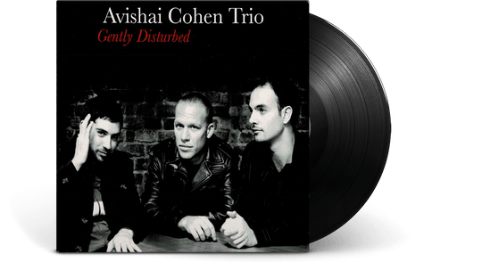 Avishai Cohen : Gently Disturbed