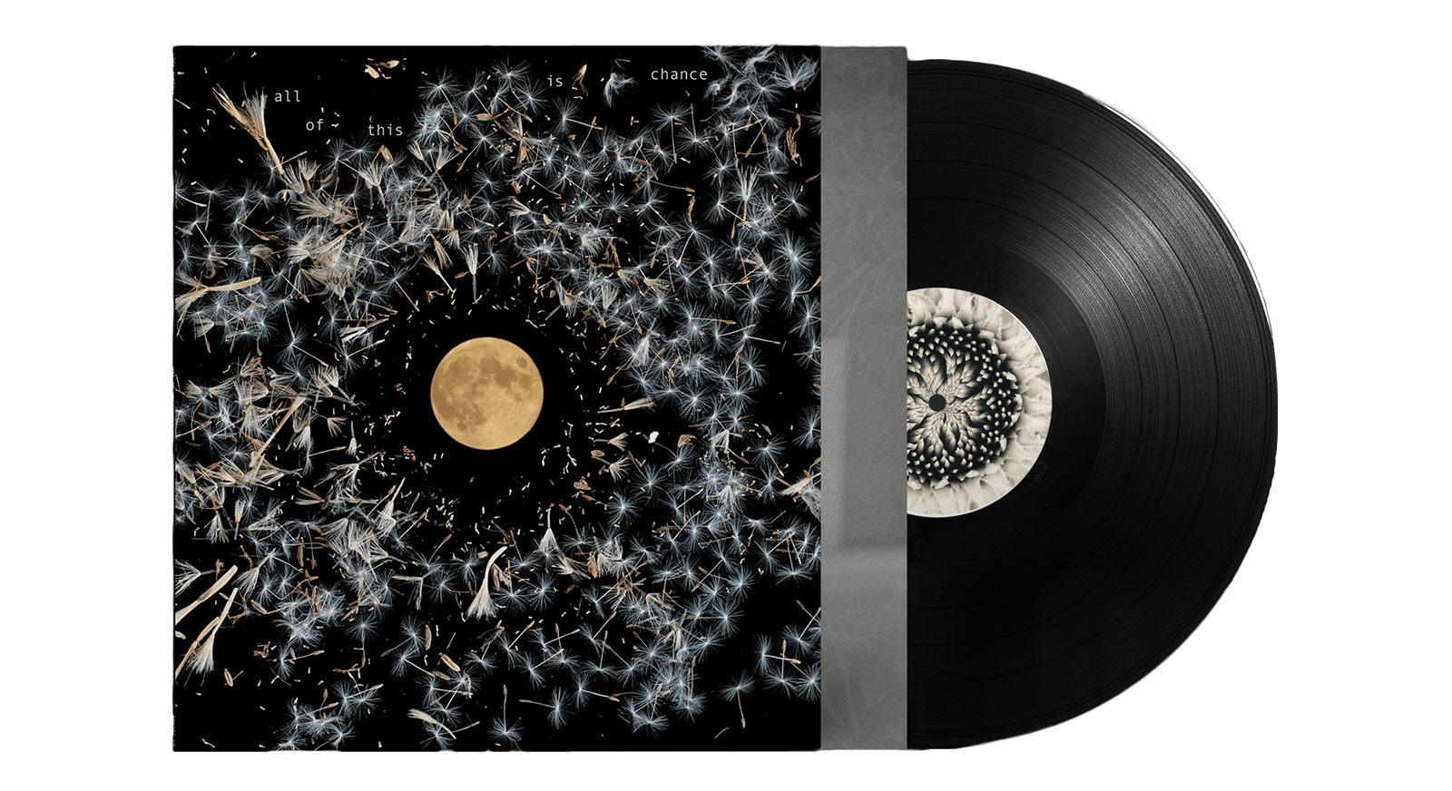 Vinyl - Lisa O'Neill : All Of This Is Chance - The Record Hub