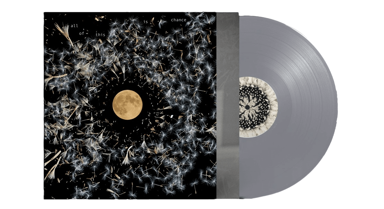 Vinyl - Lisa O'Neill : All Of This Is Chance (Ltd Silver Vinyl) - The Record Hub