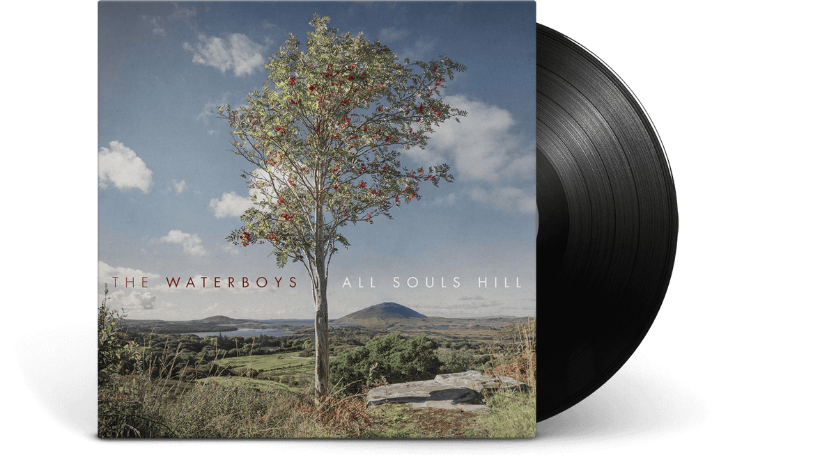Vinyl - The Waterboys : All Souls Hill - The Record Hub