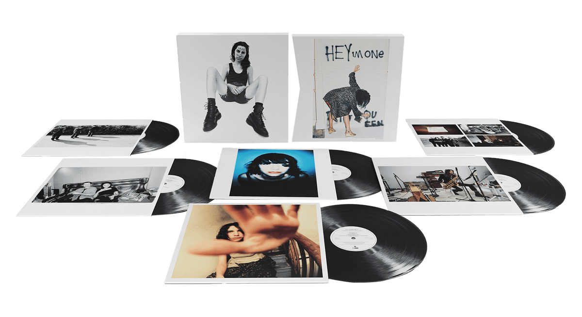 Vinyl - PJ Harvey : B-Sides, Demos &amp; Rarities (6LP) - The Record Hub