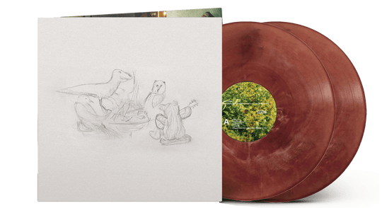 Big Thief : Dragon New Warm Mountain I Believe In You (Ltd Eco Coloured Vinyl)