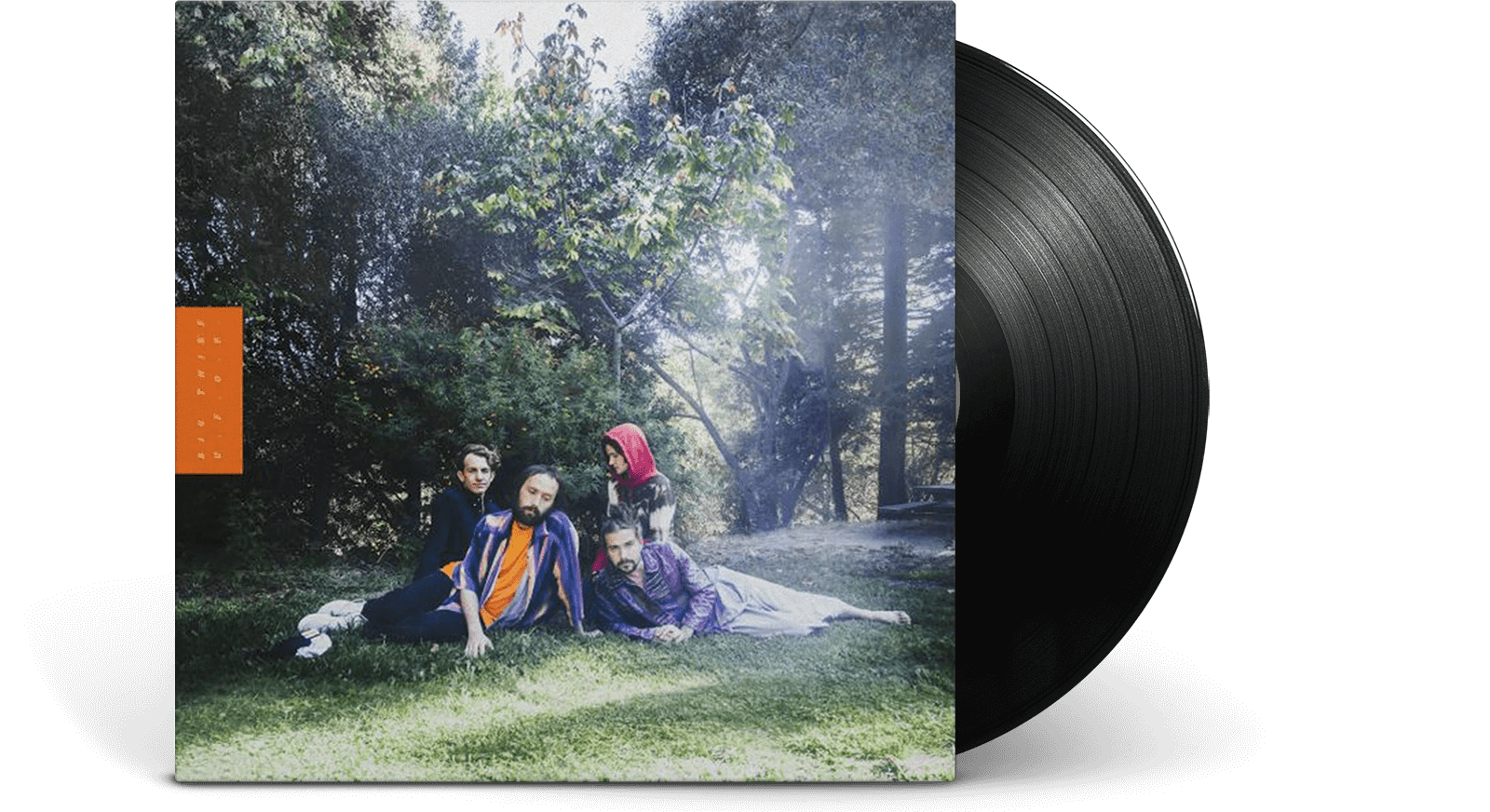 Vinyl - Big Thief : U.F.O.F. - The Record Hub