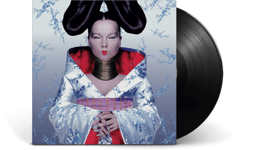 Björk : Homogenic