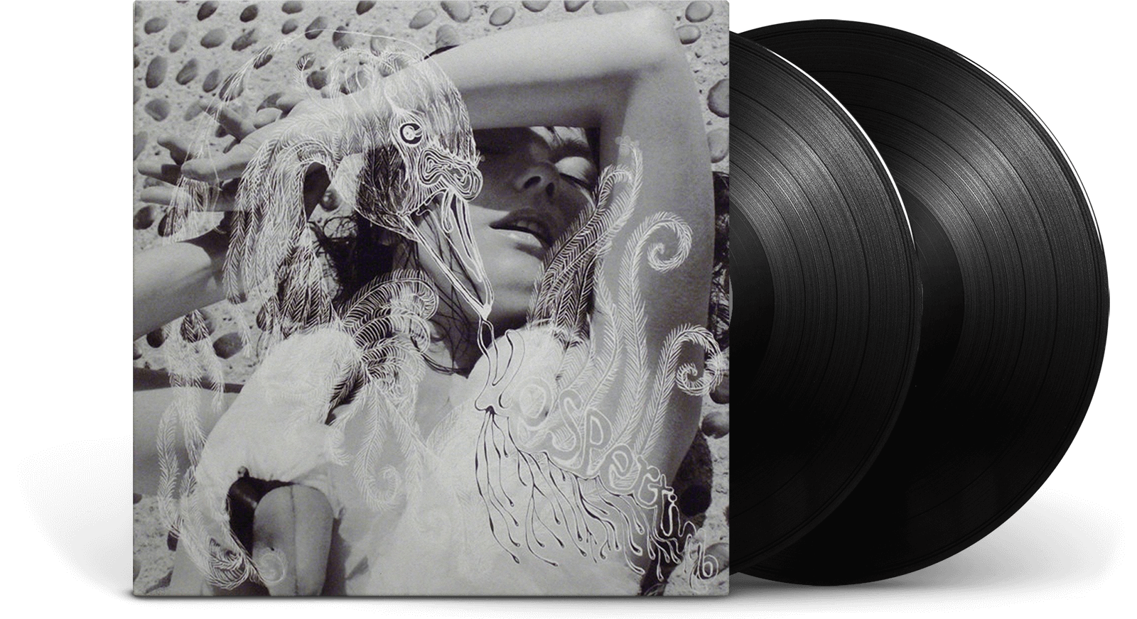 Vinyl - Björk : Vespertine - The Record Hub