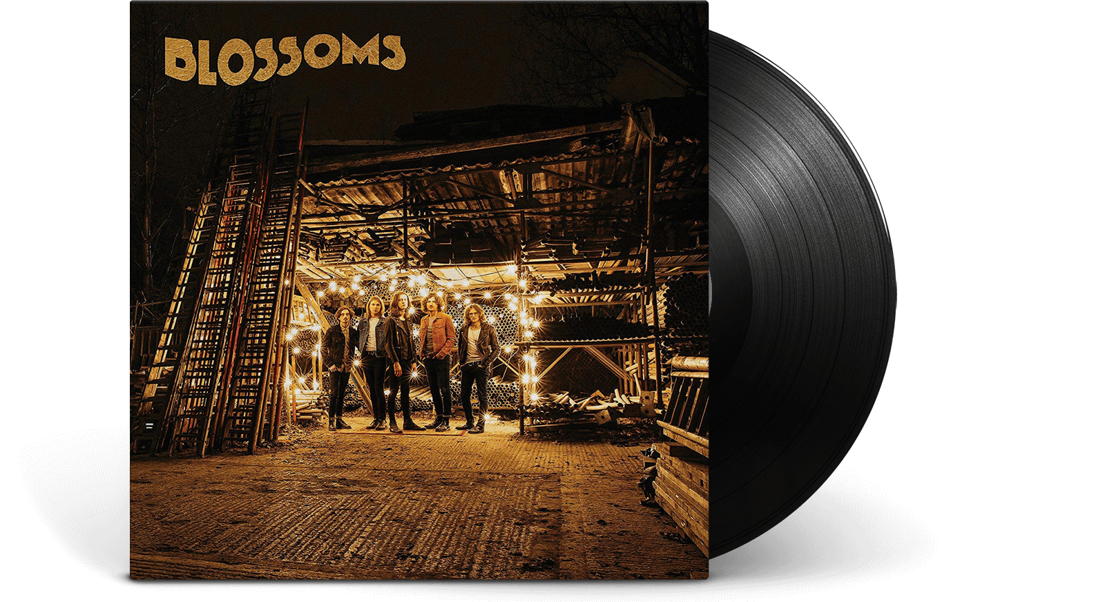 Vinyl - Blossoms : Blossoms - The Record Hub