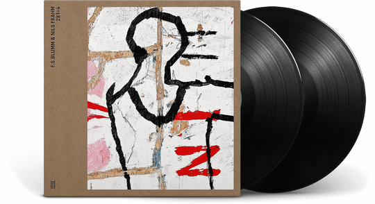 F.S.Blumm & Nils Frahm : 2X1=4