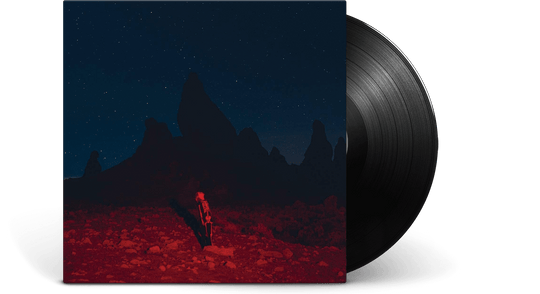 Phoebe Bridgers : Punisher