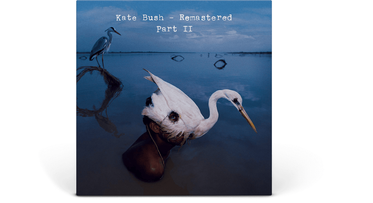Vinyl - Kate Bush : Remastered, Pt. II (CD Boxset) - The Record Hub