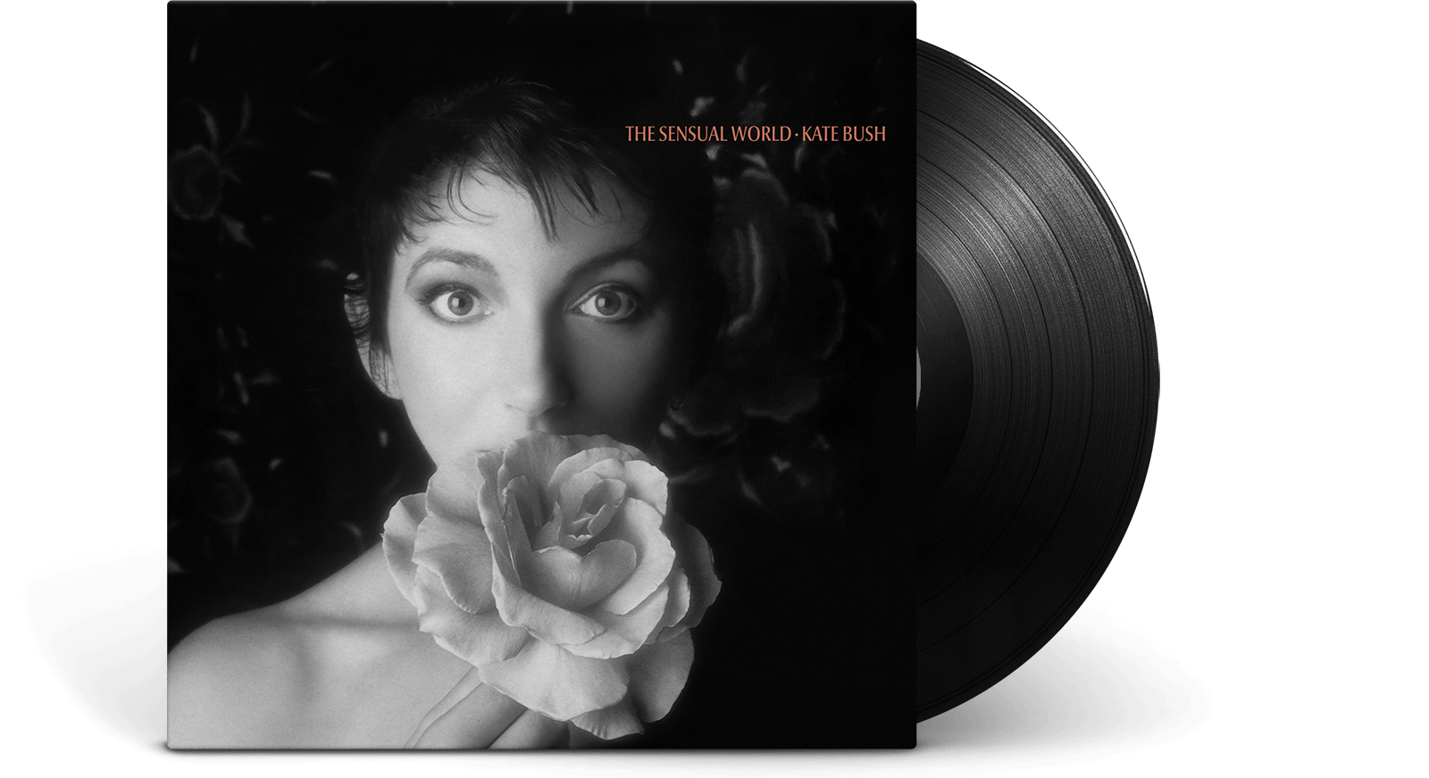 Kate Bush Remastered Part Ⅰ＆Ⅱ 71jpCJ4oGRL._UF1000,1000_QL80_.jpg