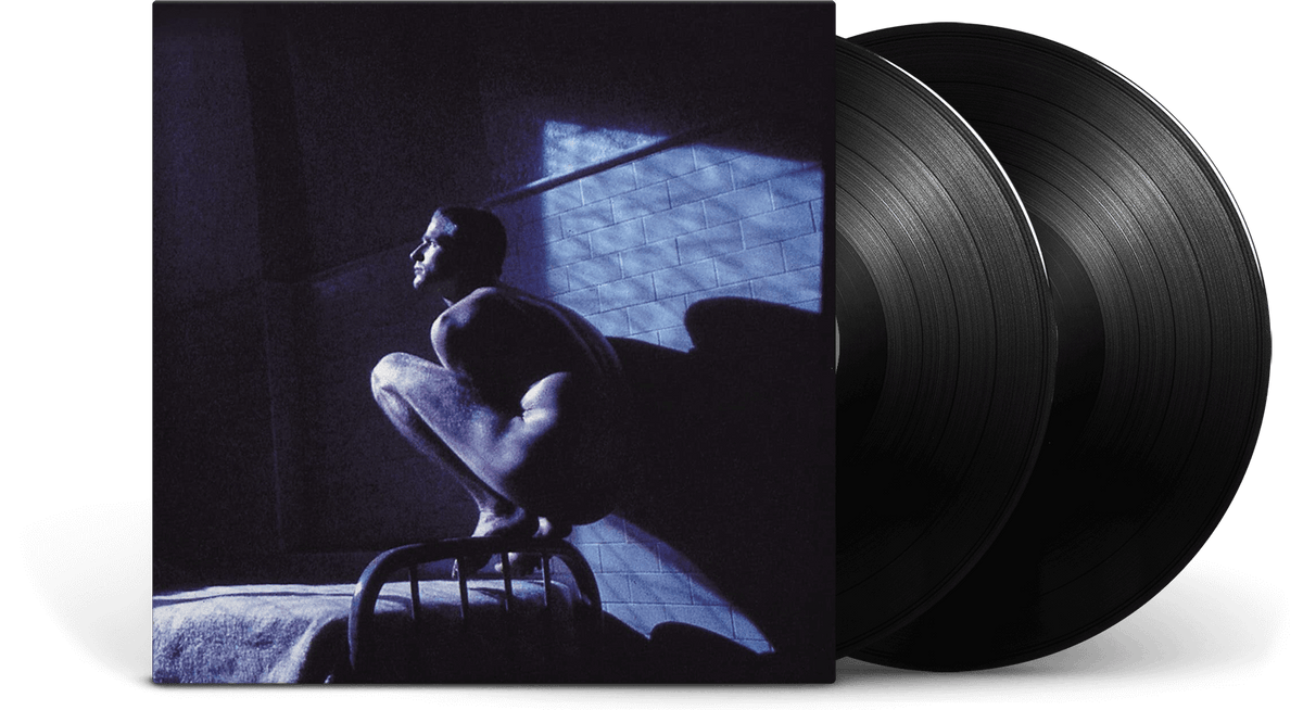 Vinyl - Peter Gabriel : Birdy - The Record Hub