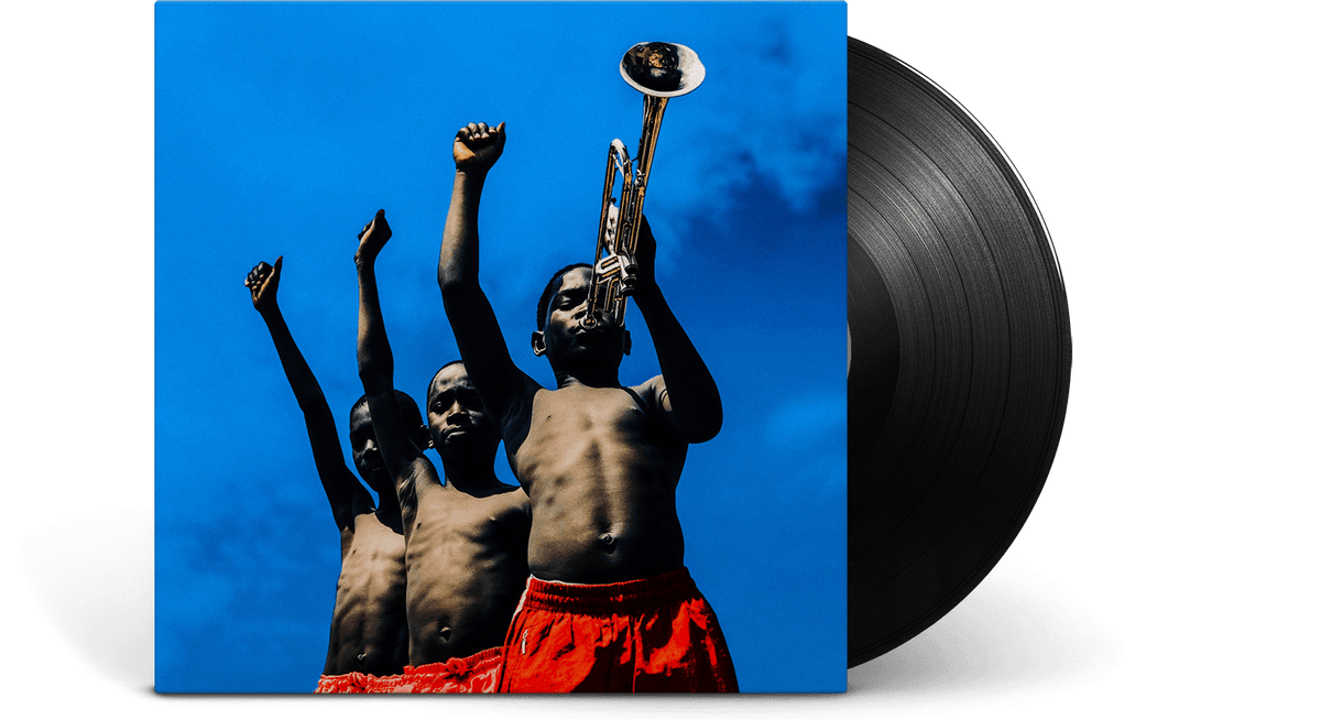 Vinyl - Common : A Beautiful Revolution (Part 1) - The Record Hub