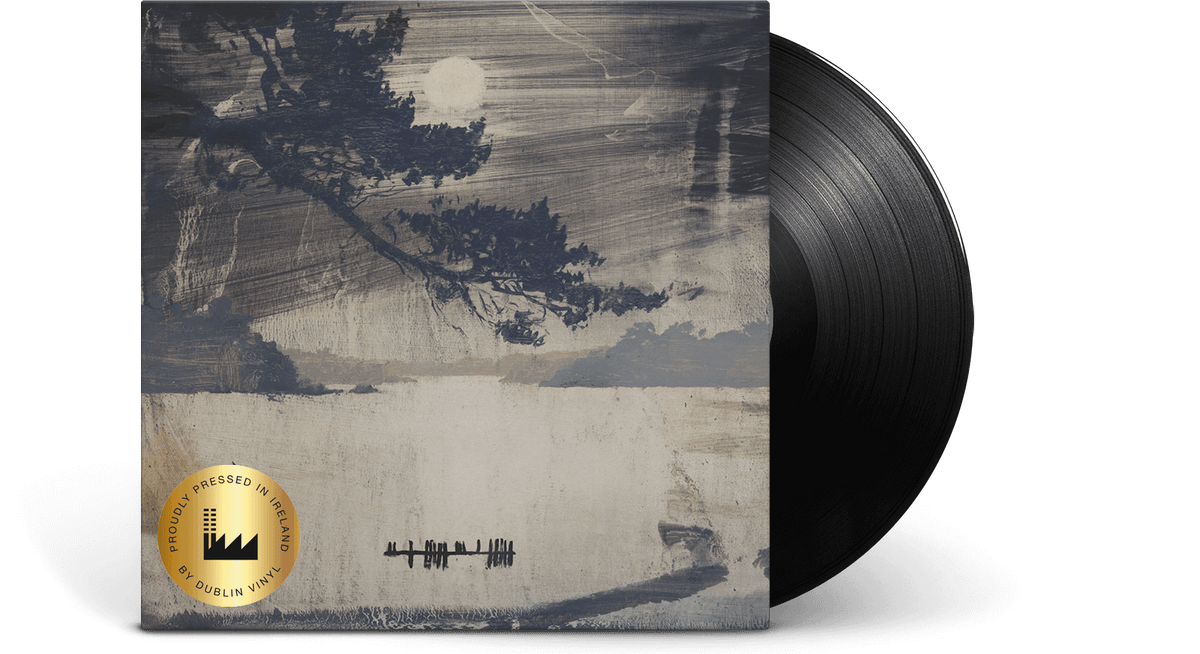 Vinyl - Daithi : L.O.S.S. - The Record Hub