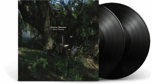 Sarah Davachi : Cantus, Descant