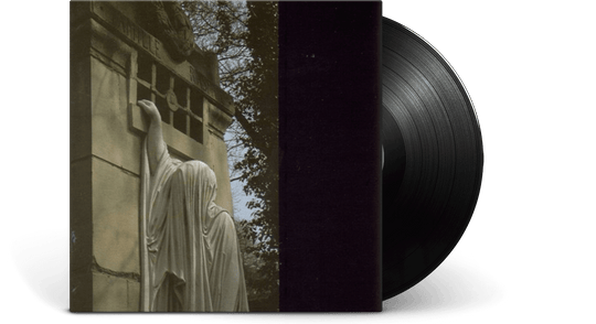 Dead Can Dance : Within The Realm Of The Dying Sun