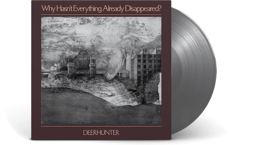 Deerhunter : Why Hasn't Everything Already Disappeared?