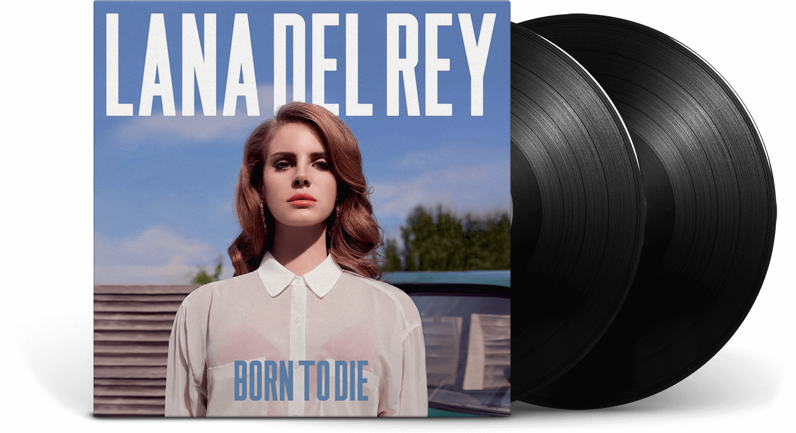 Vinyl | Born to Die | Lana Del Rey