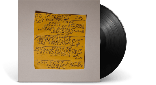 Mac DeMarco : Here Comes the Cowboy Demos