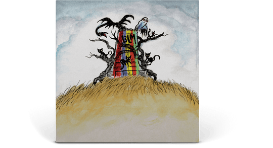 Drive-By Truckers : The New OK (Ltd Coloured Vinyl)