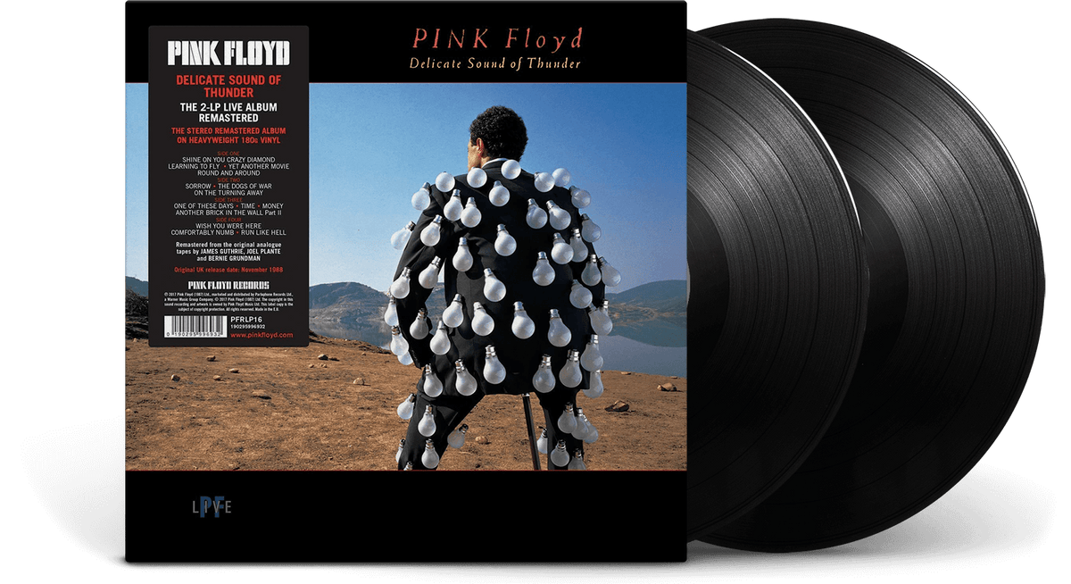 Vinyl - Pink Floyd : Delicate Sound Of Thunder - The Record Hub