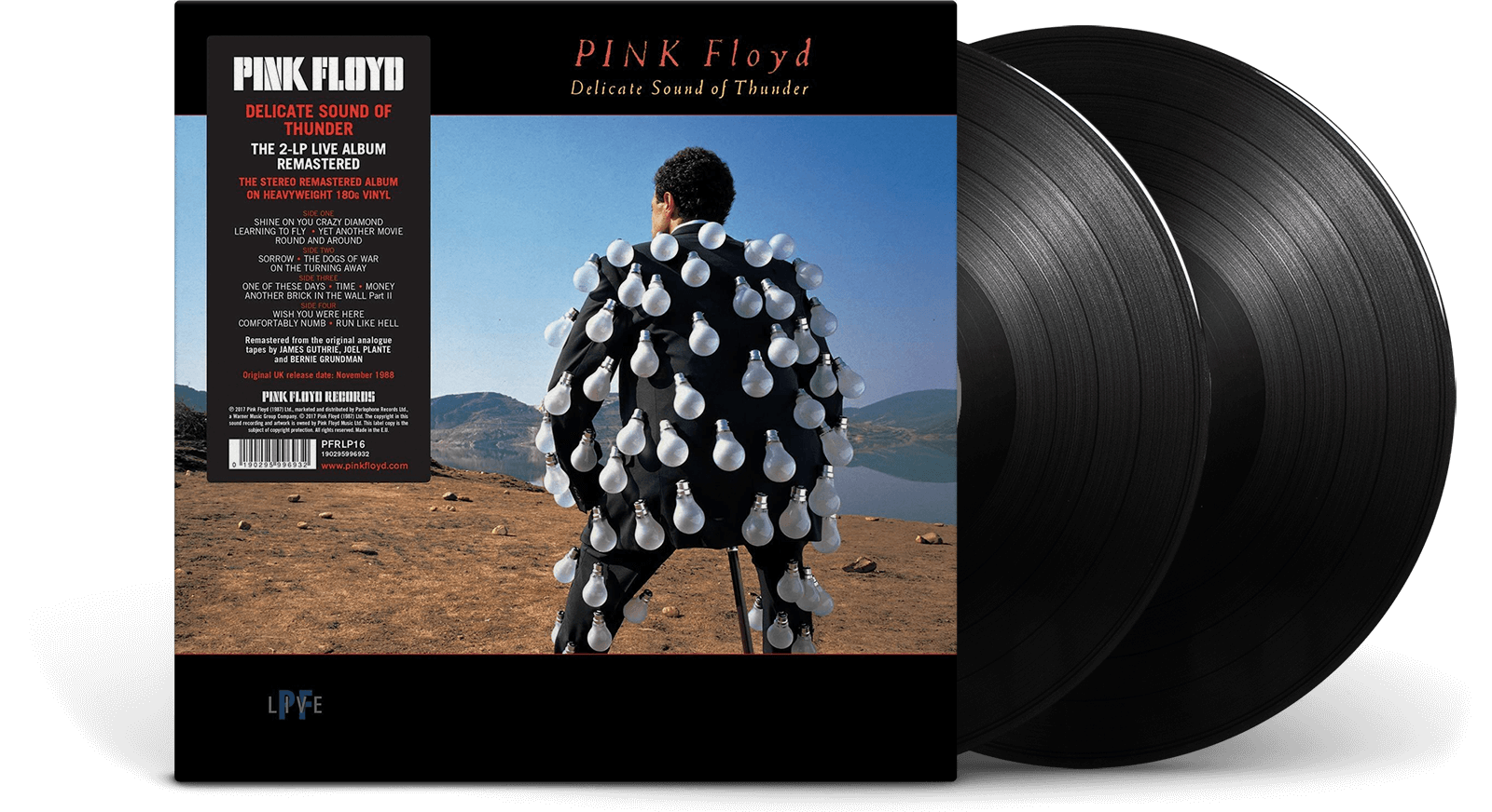 Vinyl - Pink Floyd : Delicate Sound Of Thunder - The Record Hub