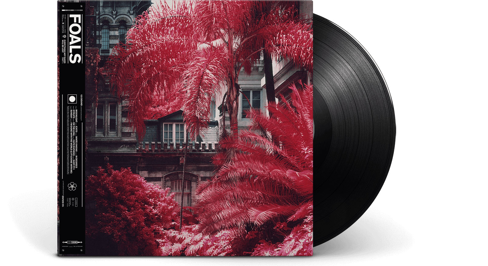 Vinyl - Foals : Everything Not Saved Will Be Lost - The Record Hub